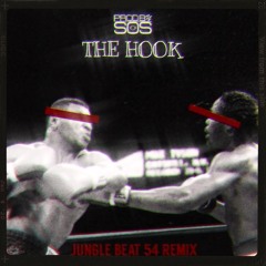 The Hook (Jungle Beat 54 Remix)