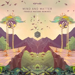 Mind and Matter & Yestermorrow - Imaginary Fields ( Hinap Remix )