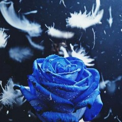 Feathers From The Sky