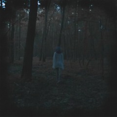 SLESHER X TRIPLE SIX666 - Терновый Сад (REMAKE)