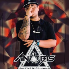 TROPICAL EFFECT ( ANUBIS DJ ).WAV