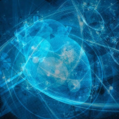 The Alchemy Of Consciousness