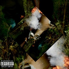 Can Tell (Ft. Sam Sneeze)