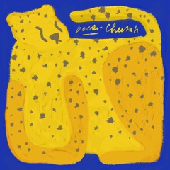 Doctr Mix: "Cheetah"