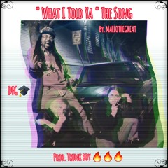 " WHAT I TOLD YA " The Song Prod. Trunk Boi