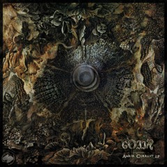 GOJJA - Amber Current - EP (Promo clips)