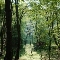 Existence - उत्कृष्टता