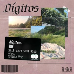 FLORES x WAGUIN - "DÍGITOS" ft. COCOA MAMI & EMERSXXN (prod. WAVE-9B)