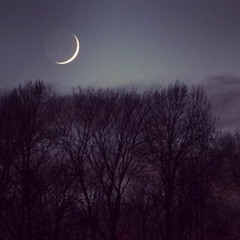 Swedish Spirituals On Ukelele