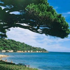 Real Talk (feat. Unlce Myles)