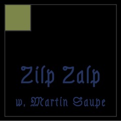 CASIO b2b MARTIN SAUPE @ Zilp Zalp Festival