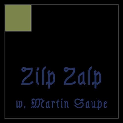 Stream CASIO b2b MARTIN SAUPE @ Zilp Zalp Festival by CASIO | Listen online  for free on SoundCloud