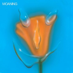 Moaning - Ego