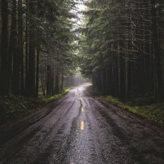 summertime petrichor