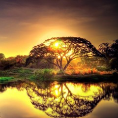 Listen To The Silence