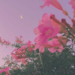 DREAM ABOUT IT - CLAIRO x FRANK OCEAN TYPE BEAT (Prod. The Shine)