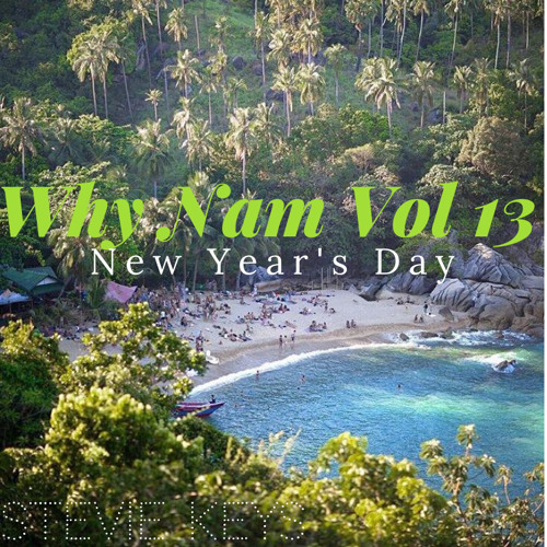Why Nam Vol 13 - New Year's Day