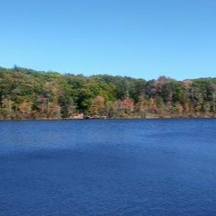 Nylon String Jubilee