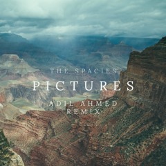 The Spacies - Pictures (Adil Ahmed Remix)