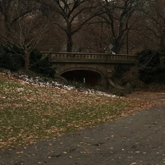 Autumn Winds