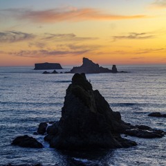 Vlad And Music For Cats