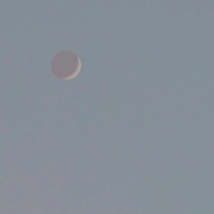 月の裏を夢みて