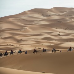Vikings Crossing The Desert
