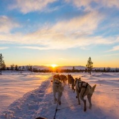 Abenteuer Lappland