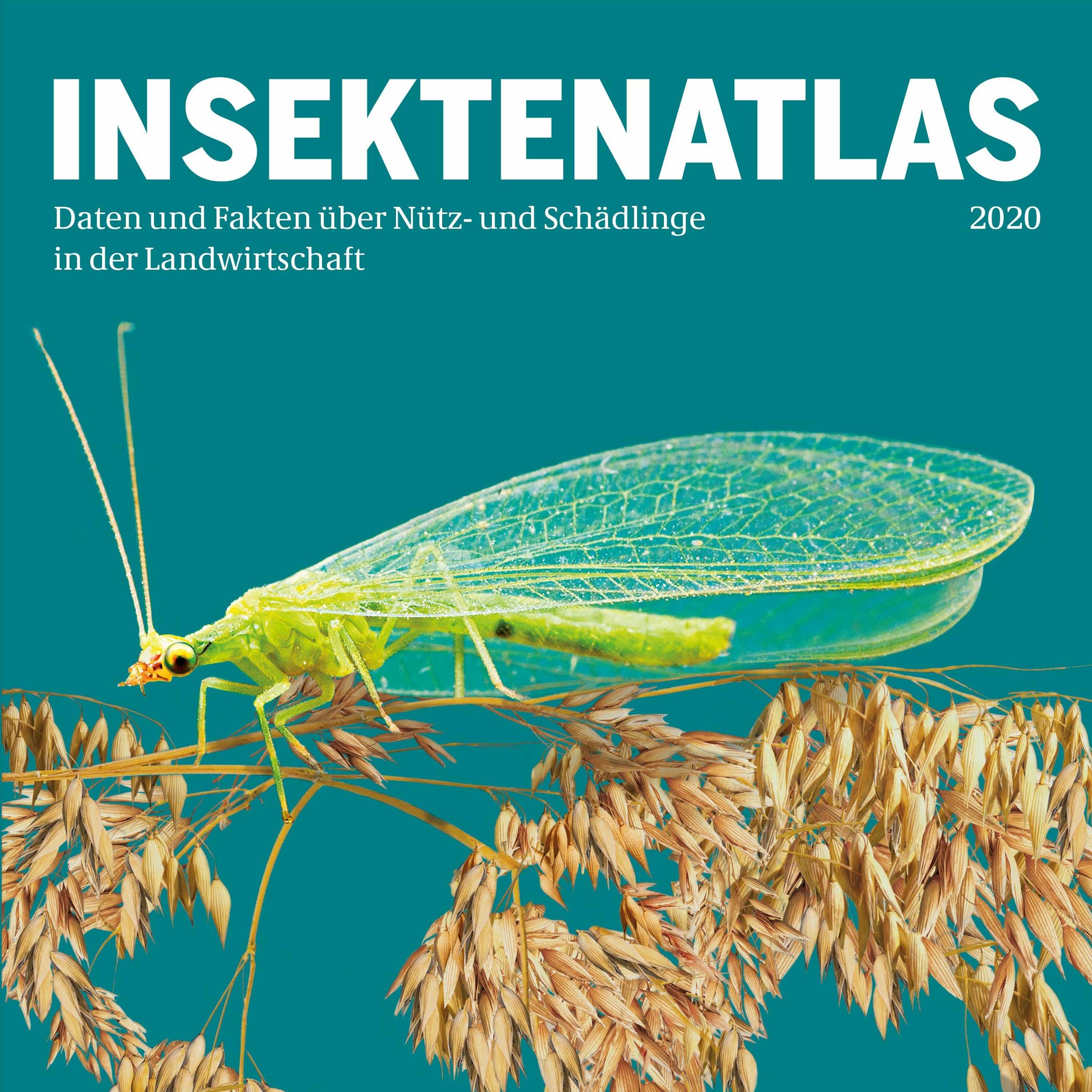 Alle Podcasts und Audiofiles der Heinrich-Böll-Stiftung