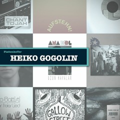 Plattenkoffer: Heiko Gogolin