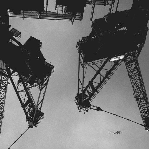 The Unborn Child - Arrival (Original Mix) [TRM120]