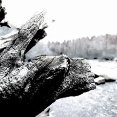 4. Please Call Me Mama