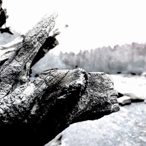 4. Please Call Me Mama