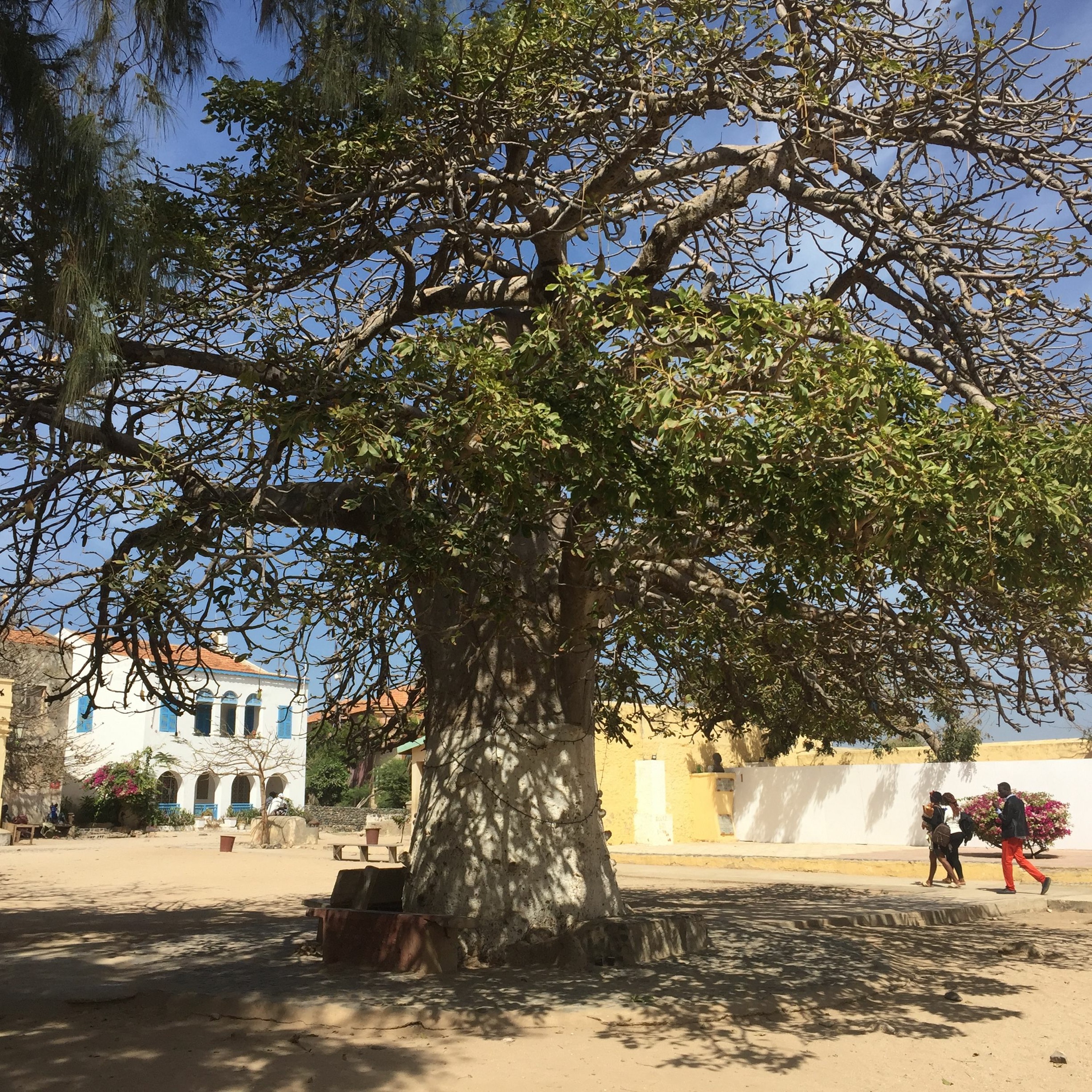 Tentative d'épuisement d'un lieu : l'île de Gorée episode artwork