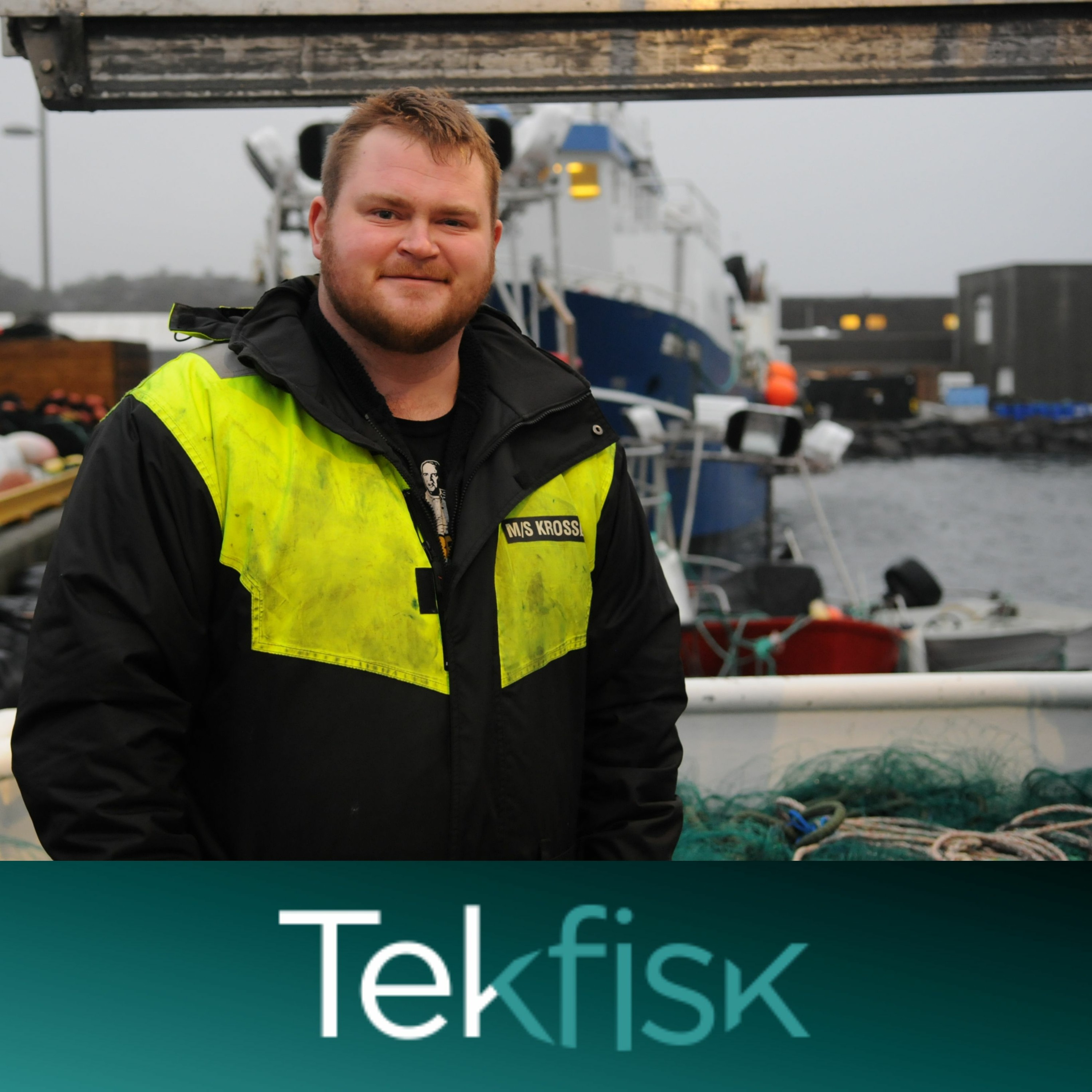 Tekfisk