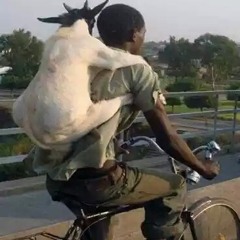 dit is een mooie verassing