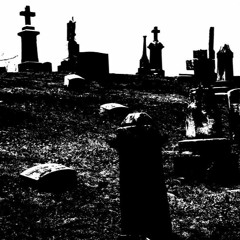 STILL F.T.W (FUCK-THA-WORLD)