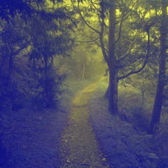 森林狂想曲 The Forest Show (Bigroom Edit)