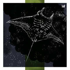 Artche & GNTN - Shaping Lights [Snippet]