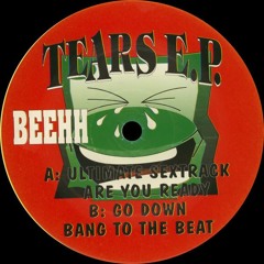 Charly Lownoise & Mental Theo - Go Down