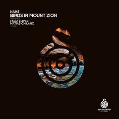 NAHS - Birds in Mount Zion [Soundteller Records]