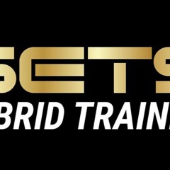 SETS BUILT EXCLUSIVE VOL 1