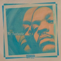 T3 - Mr. Fantastic
