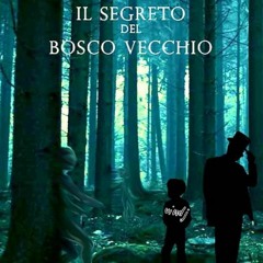 Vindj - Il Segreto Del Bosco Vecchio [Mix]