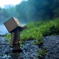 145 BPM Wippe zum Beat Setcut/2k20