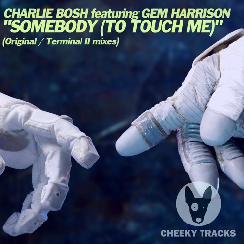 Charlie Bosh Ft Gem Harrison - Somebody (To Touch) (Terminal II Remix)Sample