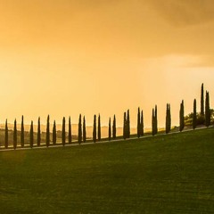 West Coast style instru