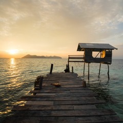 Organic (Prod. Sharp Beats)