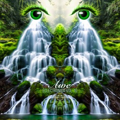 Eclectronica Vol. 10 - Awe