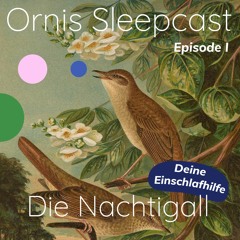 Ornis Sleepcast Folge 1 - Die Nachtigall (Hörstück Zum Einschlafen)